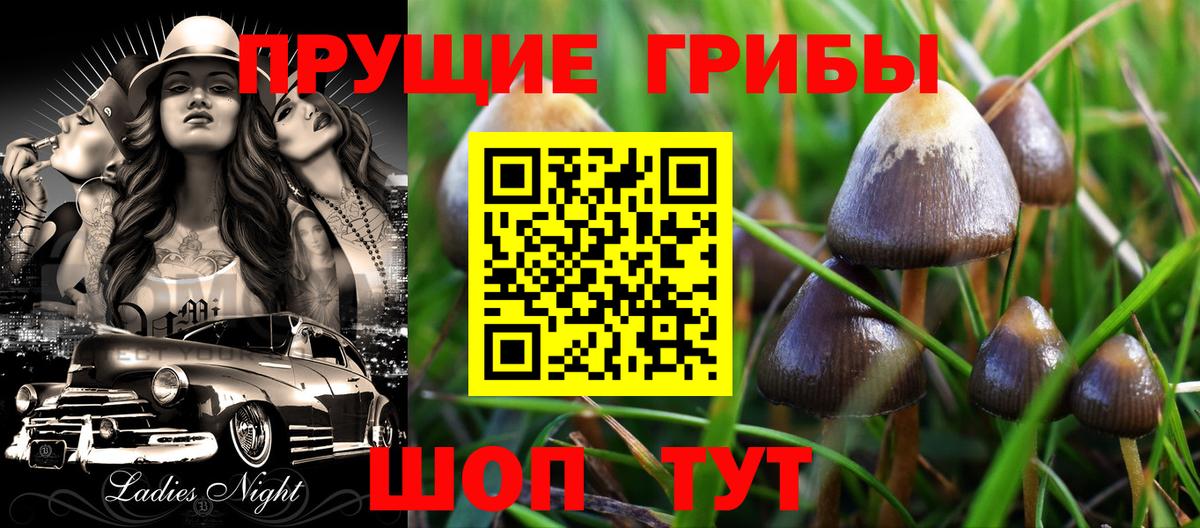 Псилоцибиновые грибы мухоморы  Вход с VPN  Гай  Галлюциногенные грибы мицелий 