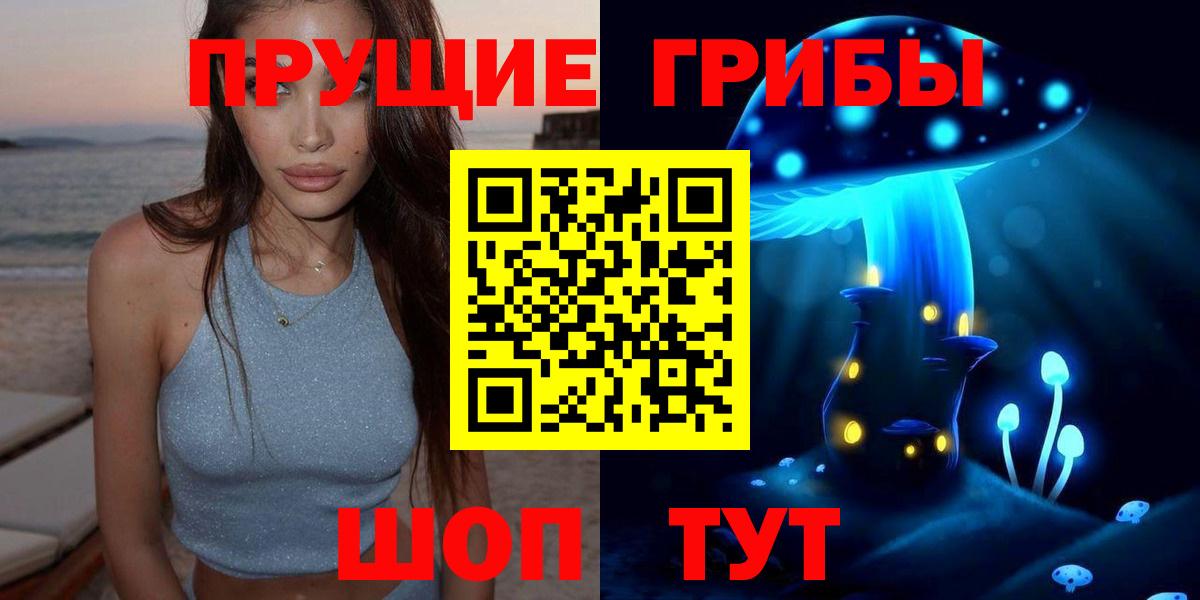 Псилоцибиновые грибы Psilocybe Гай