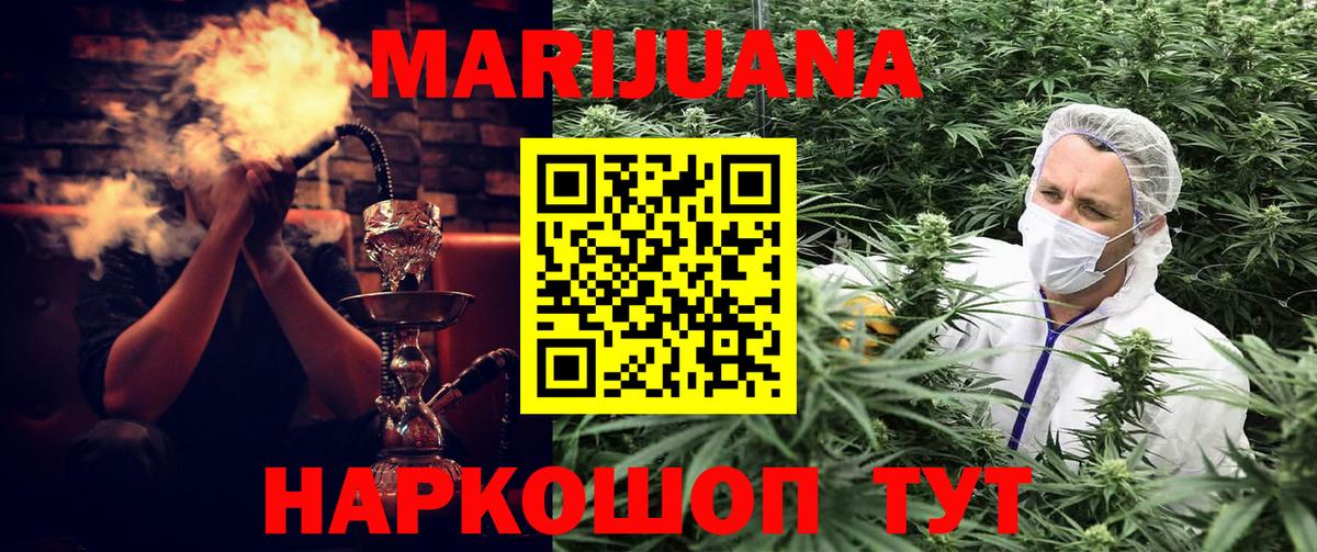МАРИХУАНА планчик Гай